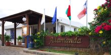 Allamanda