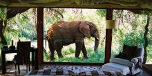 Sanctuary Makanyane Lodge