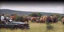 Sanctuary Makanyane Lodge