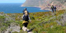 Table Mountain Hike, Cape Town, South Africa
