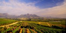Spier Wine Farm Hotel