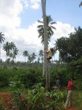 Spice farm adventure
