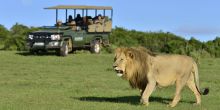 Shamwari Sarili Lodge
