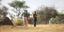 Serian Serengeti South 