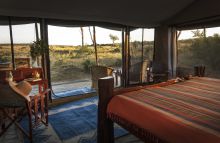 Offbeat Mara Camp Standard Tent