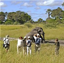 Stanley's Camp, Okavango Delta, Botswana