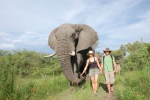 Stanley's Camp, Okavango Delta, Botswana