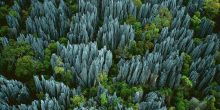 Orchidee Hotel, Tsingy, Madagascar