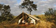 Tanda Tula Field Camp, Timbavati Game Reserve, South Africa