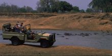 Tafika game drive