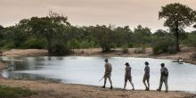 Tanda Tula Field Camp, Timbavati Game Reserve, South Africa