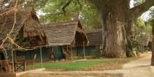 Tanzania Safari Adventure