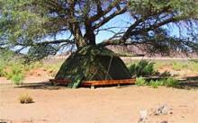 Camp Tent