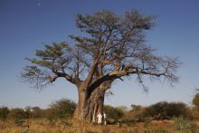 The Islands of Siankaba Lodge, Livingstone, Zambia
