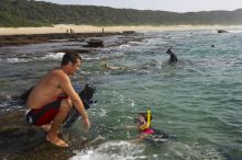 Thonga Beach Lodge - Beach Snorkling