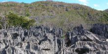 Tsingy