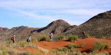 Tok Tokkie Trail