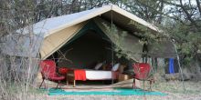 The tents are nestled into the surrounding nature at Serengeti Wilderness Camp, Serengeti NCCA, Tanzania