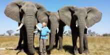 Walking with Elephants
