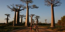 Gite de Kirindy, Kirindy National Park, Madagascar