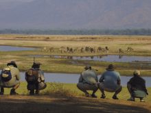 Game viewing on Mana Pool Canoe Trails, Mana Pool National Park, Zimbabwe (Mike Myers)