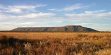 Waterberg Guest Farm