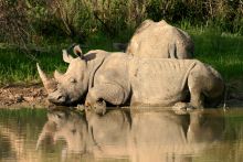 Waterberg Wilderness Lodge,  Waterberg Plateau, Namibia