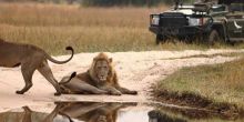 Delta Explorer Campsite, Okavango Delta, Botswana