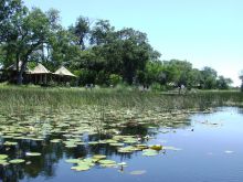 Delta view at Xaranna Camp, Okavango Delta, Botswana