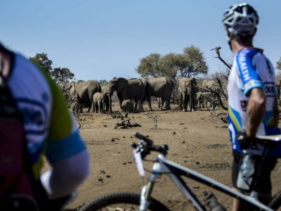 bike safari