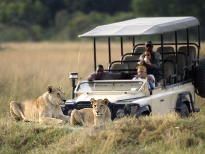 Safari game drive