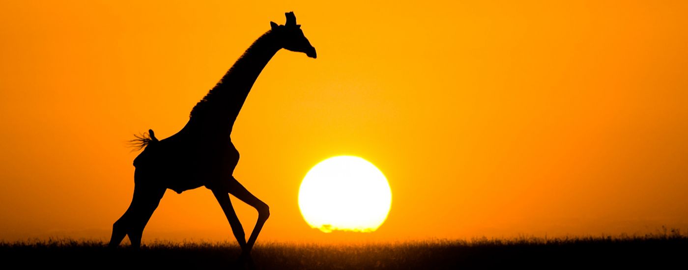 Mango Safaris Highlight Trips